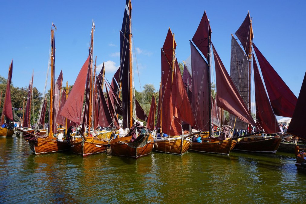 Althäger Fischerregatta, © Kurverwaltung Ahrenshoop