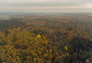 © Arndt Gläser © Arndt Gläser