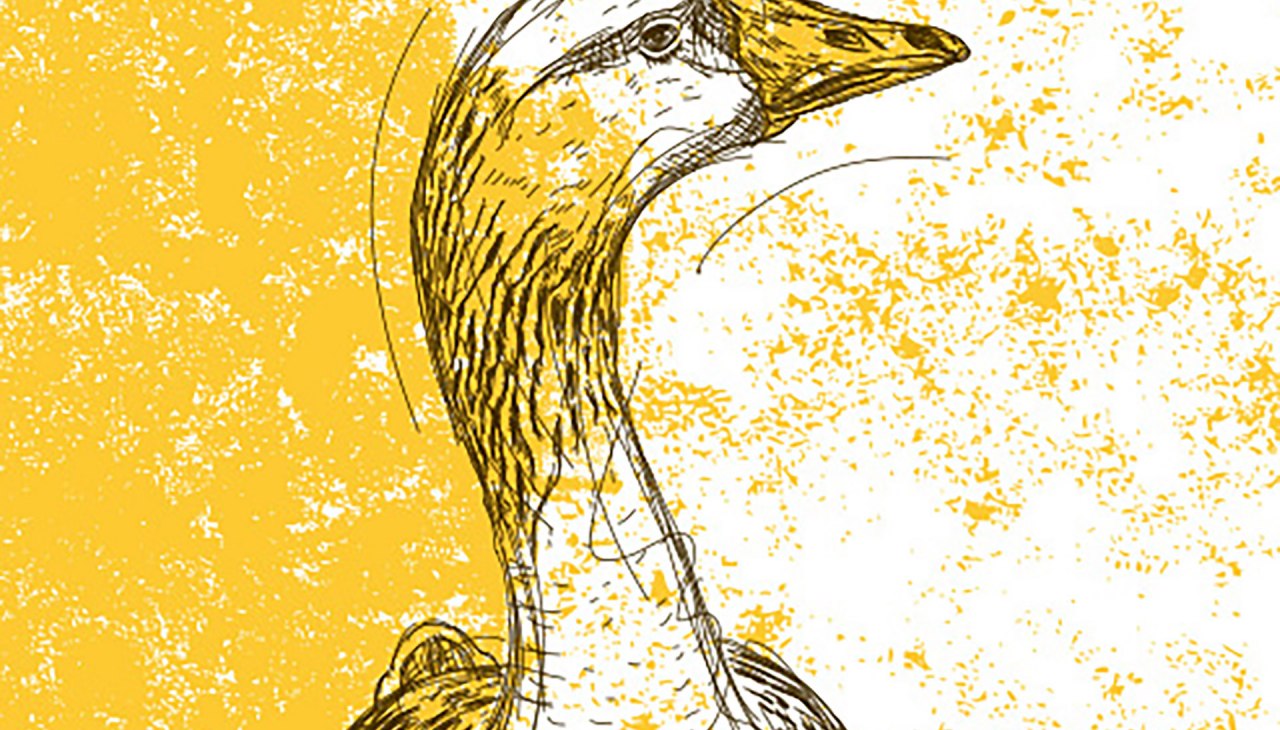 Ganzendiner bij Restaurant Wehrmanns Alt-Heringsdorf, &copy; Strandhotel Ostseeblick