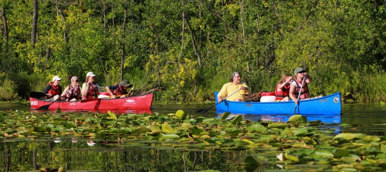 gef&uuml;hrte Kanutour ins Seerosenparadies ab Kanubasis Mirow // &copy; SeenLandAgentour GmbH