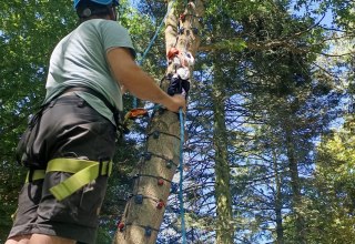 tempor&auml;re Baumkletterwand // &copy; Falk Zipperling