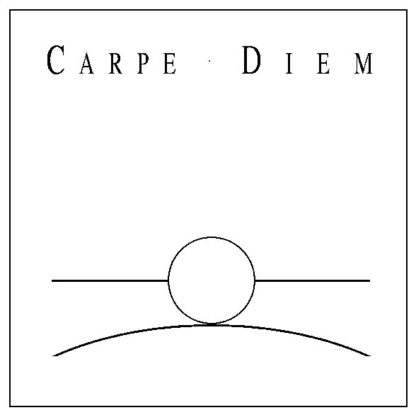 © Carpe Diem © Carpe Diem