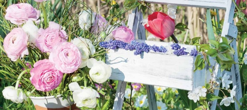 &copy; fotolia/fotoknips