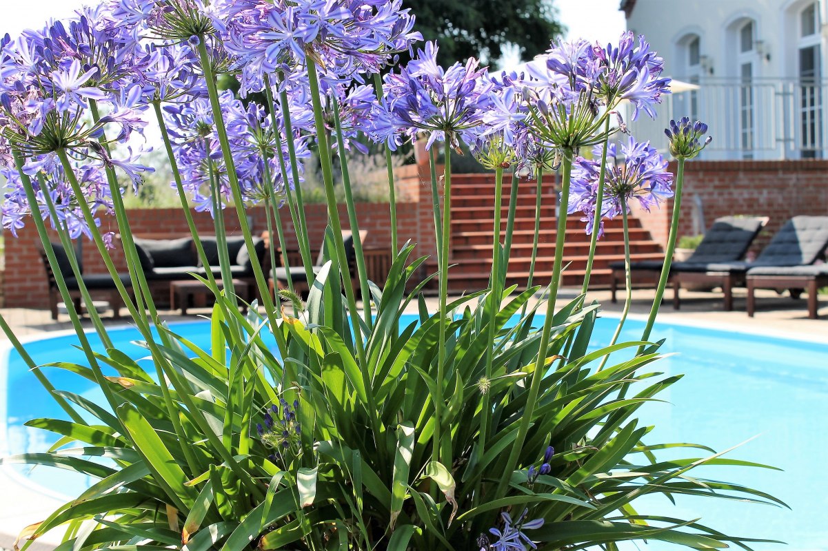 Buitenzwembad // &copy; Sabine Schwanzer