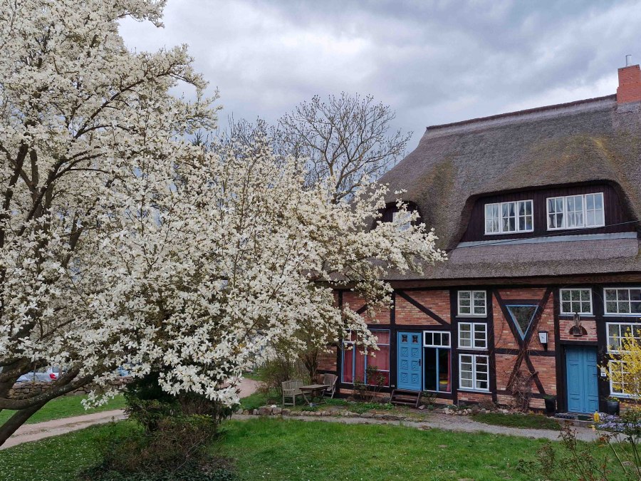 Pfarrhof Kessin, © Martin Goffing Pfarrhof Kessin, © Martin Goffing