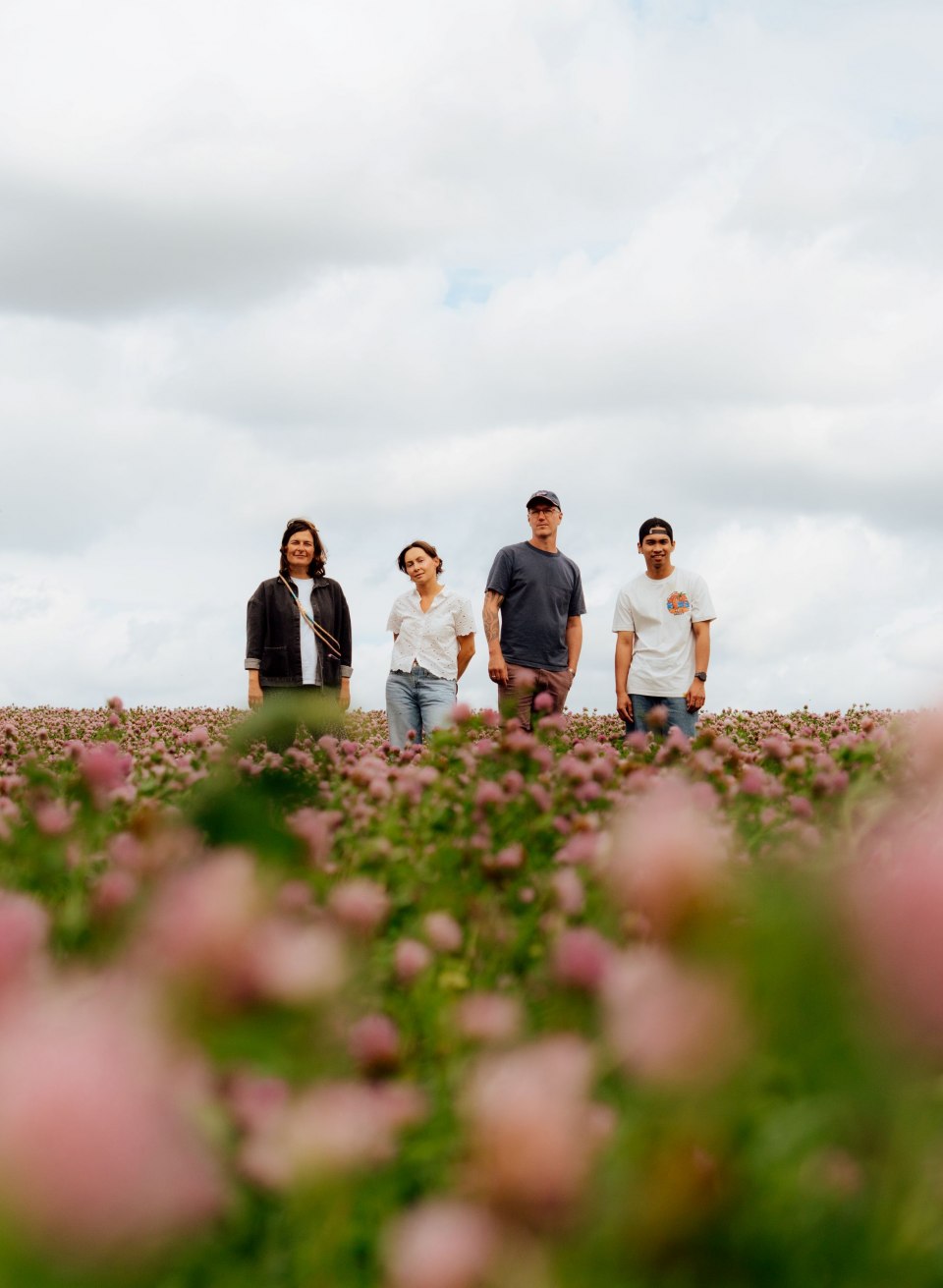 Vier Personen stehen auf einem Feld mit rosa Blüten auf Gut Üselitz auf Rügen, darüber ziehen helle Wolken. // Auf Gut Üselitz auf Rügen steht das Team mitten im Blütenmeer – weit, ruhig, bereit für den nächsten Handgriff. // © MV-T/Petermann Vier Personen stehen auf einem Feld mit rosa Blüten auf Gut Üselitz auf Rügen, darüber ziehen helle Wolken.