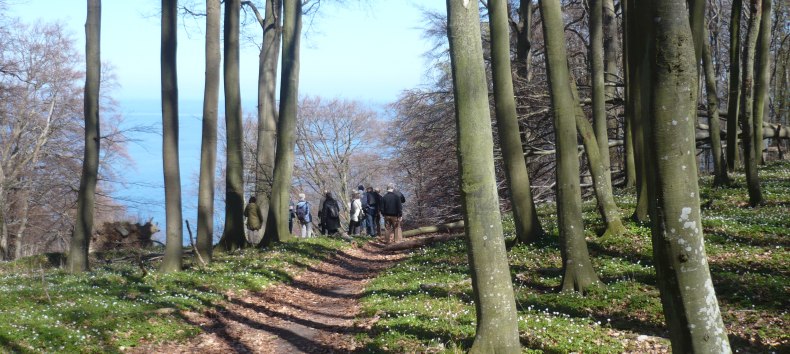 Fr&uuml;hlingswanderung // &copy; Touristik Lohme