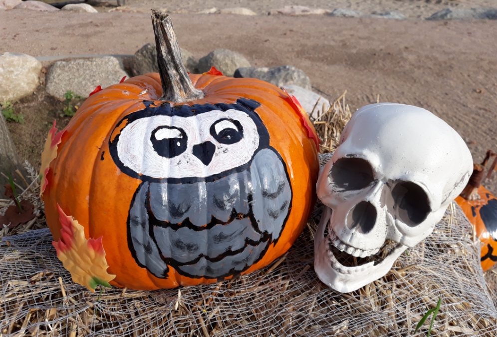 Halloween im Park, &copy; minimare der Entdeckerpark