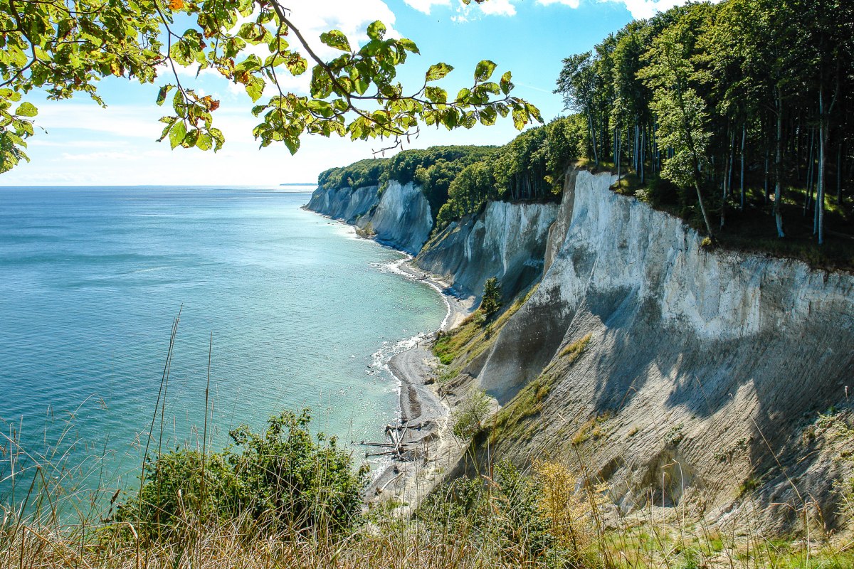 &copy; &copy; Nationalpark-Zentrum K&Ouml;NIGSSTUHL / Peter Lehmann
