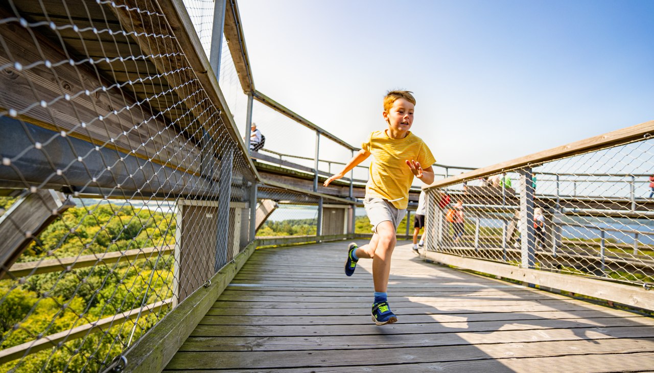 Kinder auf der Aussichtsplattform des Baumwipfelpfades im Naturerbezentrum Rügen, © Naturerbezentrum_Ruegen Kinder auf der Aussichtsplattform des Baumwipfelpfades im Naturerbezentrum Rügen, © Naturerbezentrum_Ruegen
