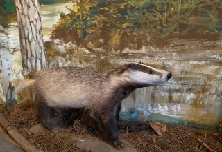 &copy; Amt Mecklenburgische Kleinseenplatte