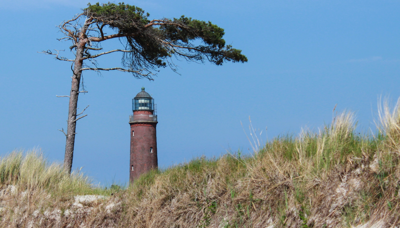 Leuchtturm Dar&szlig;er Ort, &copy; TMV/Gohlke