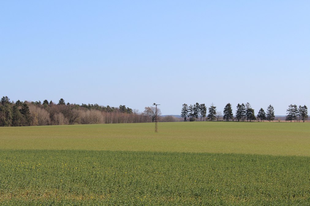 Sicht auf den bewohnten Horst, © Kur- und Tourismus GmbH Göhren-Lebbin