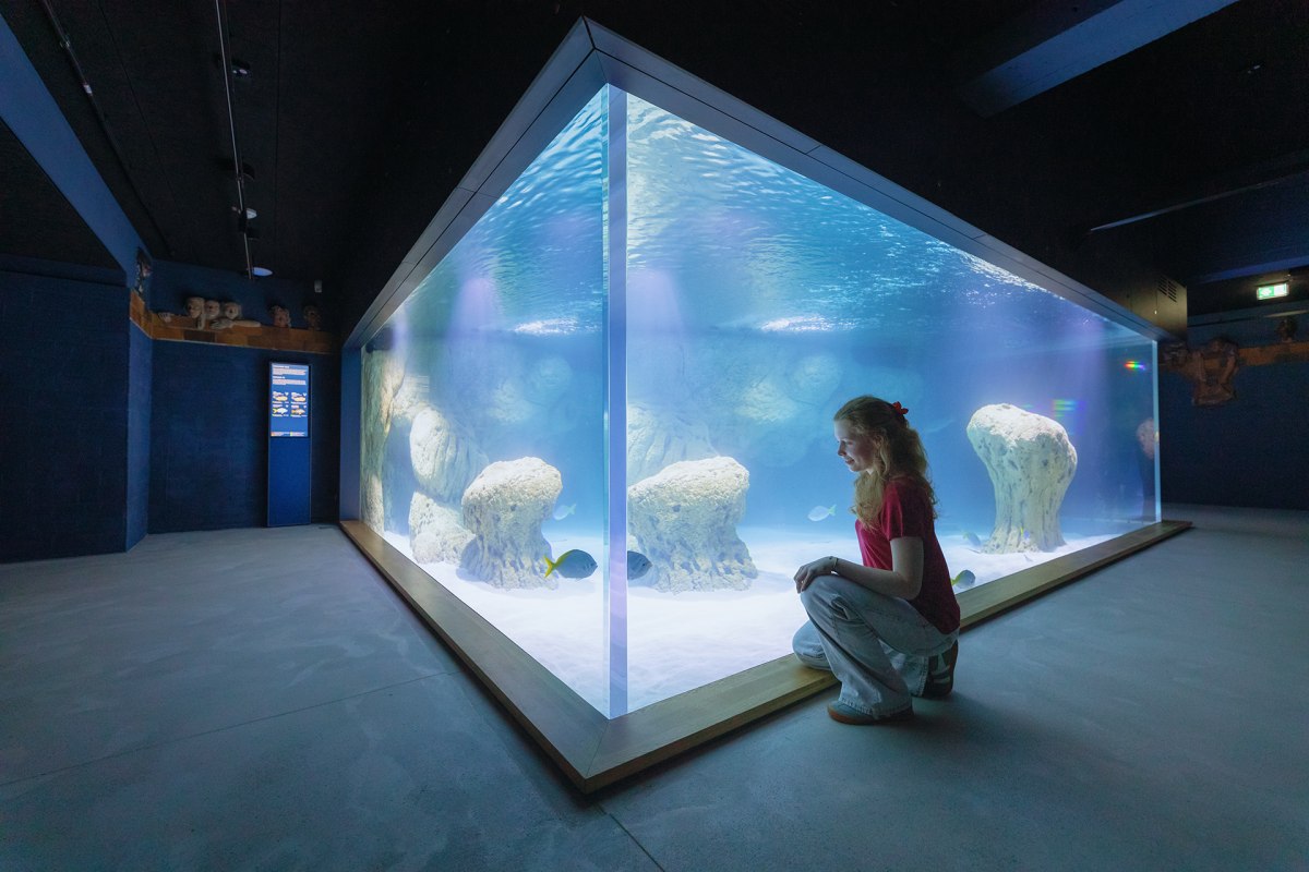 Die helle Unterwasserwelt der Fidschi-Inseln: Wei&szlig;er Sand und helles Gestein veranschaulichen diesen Lebensraum in einem 85 000-Liter Wasser fassenden Becke. // &copy; Anke Neumeister/Deutsches Meeresmuseum