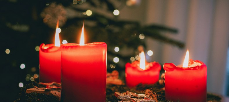 Advent im Park (Symbolfoto), © Foto von Jonas Von Werne auf Unsplash Advent im Park (Symbolfoto), © Foto von Jonas Von Werne auf Unsplash