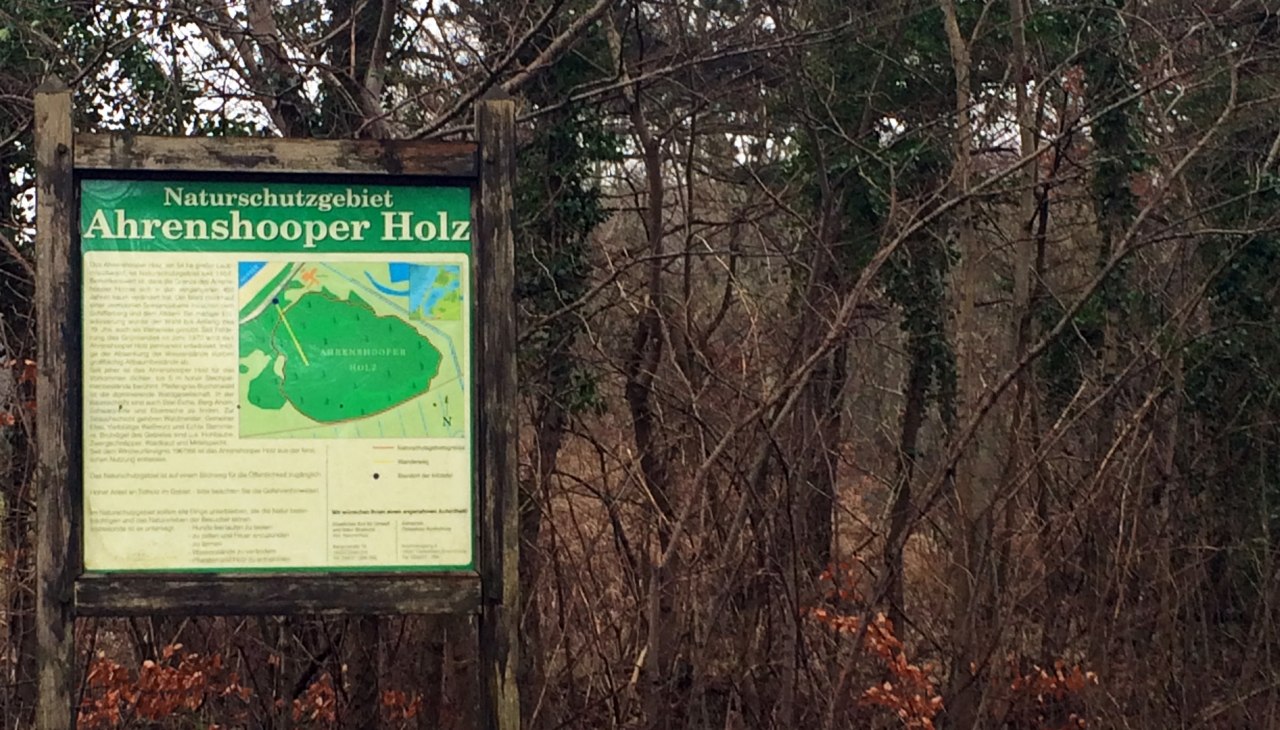 Ahrenshooper Holz, © Kurverwaltung Ahrenshoop