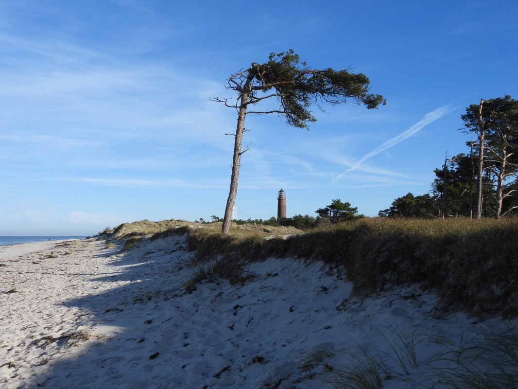 &copy; Martin Hagemann