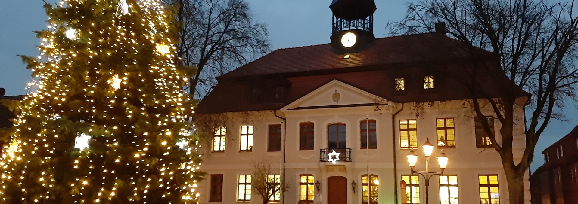 rathausplatz-ng-mit-weihnachtsbaum