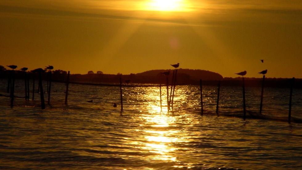 Uitzicht op het Achterwasser in de avond, © Natur Camping Usedom Uitzicht op het Achterwasser in de avond, © Natur Camping Usedom