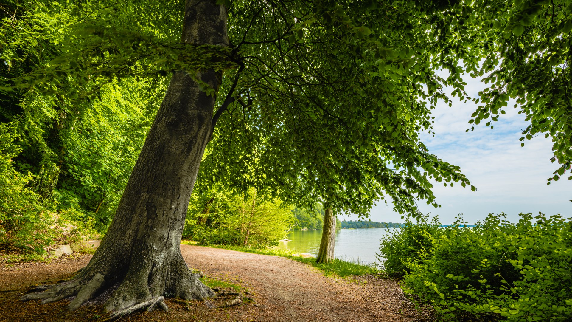 Auf vielen Kilometern lässt es sich durch den Wiligrader Schlosspark promenieren., © TMV/Tiemann Auf vielen Kilometern lässt es sich durch den Wiligrader Schlosspark promenieren., © TMV/Tiemann