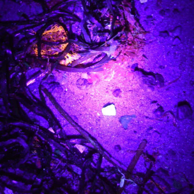 Der Strand leuchtet, &copy; GeoPark Nordisches Steinreich