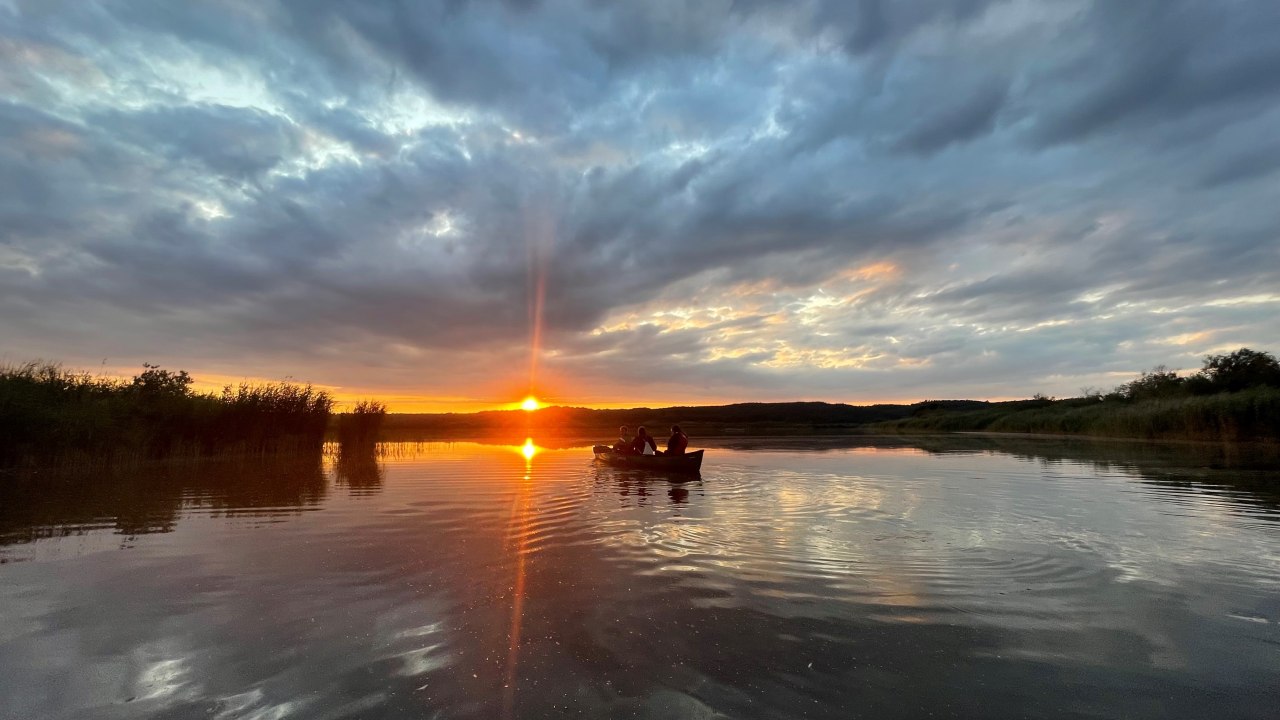In der Zeit um Mittsommer herum wird es im Naturpark Mecklenburgische Schweiz und Kummerower See nicht mehr richtig dunkel. Die Sonne geht zwar bereits um 19:47 Uhr unter, aber die Abendd&auml;mmerung geht bis weit &uuml;ber Mitternacht hinaus, bevor kurz nach 4 Uhr die Morgend&auml;mmerung einsetzt. Der Mond steht zu dieser Zeit voll am Himmel, als zunehmender Halbmond.
Zu dieser Zeit zwischen den Zeiten l&auml;dt der Naturpark zu einer Paddeltour auf der Peene und den Torfstichen bei Malchin ein. Die Landschaft und die wunderbare Wasserwelt sind dann in ein mystisches Zwielicht getaucht. Die Ger&auml;usche des Tages sind verstummt und die Tiere der Nacht lassen sich h&ouml;ren. Mit etwas Gl&uuml;ck sind sogar Biber zu beobachten, die jetzt zum Vorschein kommen. Ein Naturpark-Ranger vermittelt Ihnen unterwegs viel Interessantes &uuml;ber Biber und Fischotter, die Vogelwelt am Wasser, zur Fluss- und Moorlandschaft der Peene und &uuml;ber den Naturpark.
Treffpunkt ist in Malchin am Kanu-Club &bdquo;K&ouml;sters Eck&ldquo; (Am Kanal 2, 17139 Malchin). Die Bekleidung sollte dem Wetter angepasst sein.
Da die Teilnehmeranzahl begrenzt ist, bitten wir, sich im Naturpark unter der Telefonnummer 0385 588 64 830 anzumelden. Bitte geben Sie dazu auch an, ob Sie als Familie kommen. Das hilft uns bei der Planung der Bootsbelegung.
F&uuml;r die Benutzung der Boote ist ein Unkostenbeitrag von 15 Euro pro Teilnehmer zu entrichten. // &copy; Gudrun Marin-Ziegler