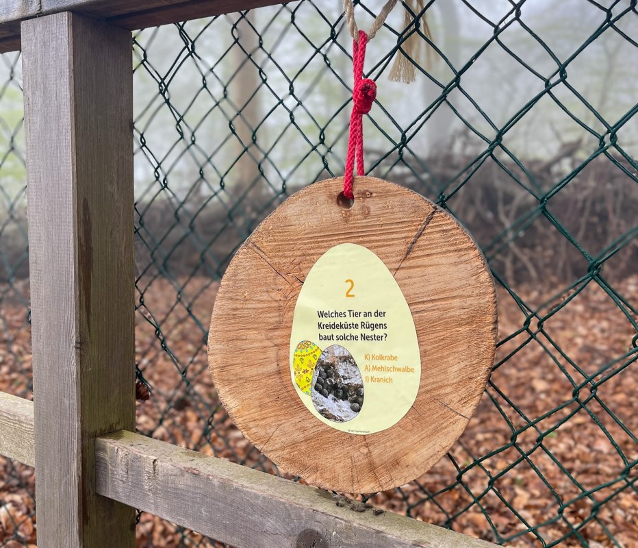 Fr&uuml;hlings-Rallye, &copy; Nationalpark-Zentrum K&Ouml;NIGSSTUHL