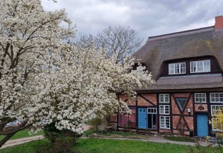 Pfarrhof Kessin // &copy; Martin Goffing