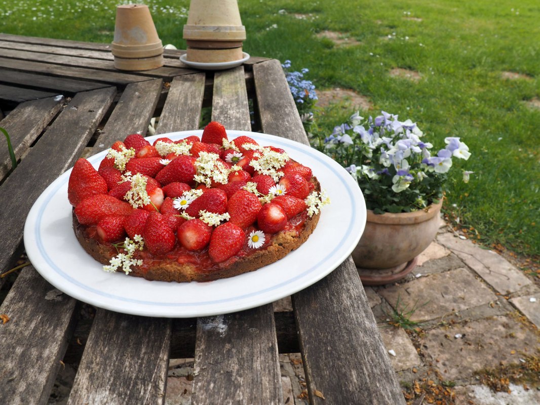 Ein leckerer Erdbeerkuchen als süßer Gruß aus der Schlossküche // © Annelie Maiwald Ein leckerer Erdbeerkuchen als süßer Gruß aus der Schlossküche // © Annelie Maiwald