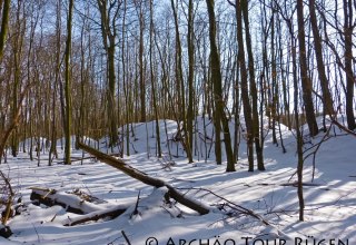 Uitzicht op de besneeuwde kasteelheuvel van de stadswallen van Sassnitz // © Archäo Tour Rügen Uitzicht op de besneeuwde kasteelheuvel van de stadswallen van Sassnitz // © Archäo Tour Rügen