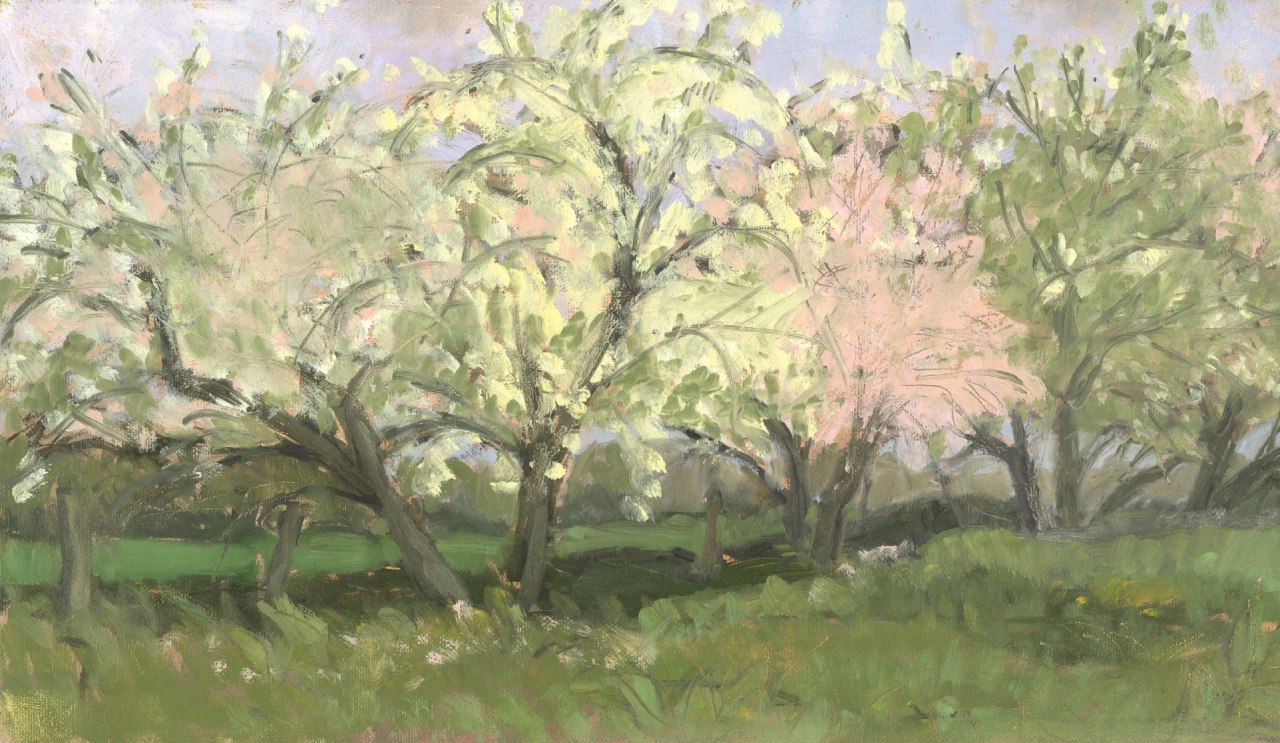 © Irene Sohler © Irene Sohler