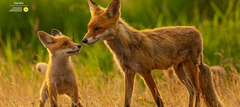 © Mario Müller © Mario Müller