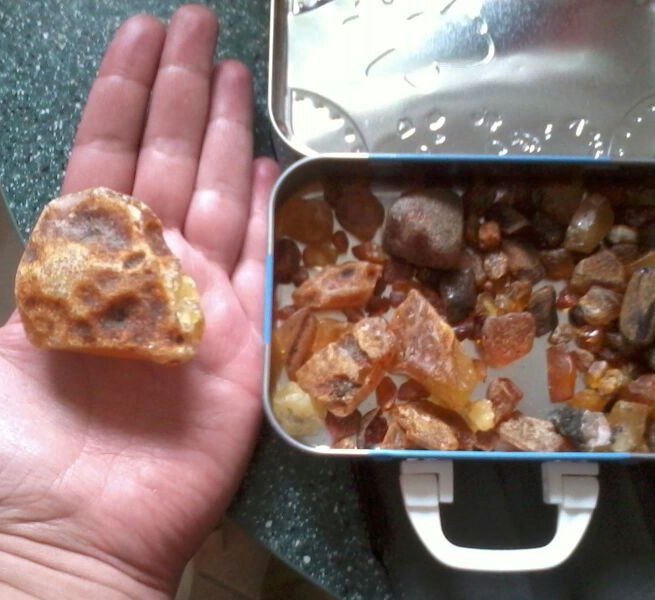 &copy; Bernstein.jpg