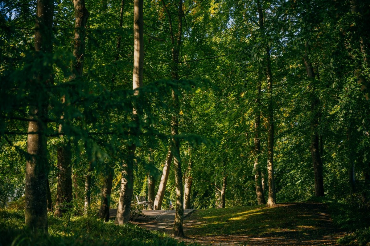 © Binzer Bucht Tourismus © Binzer Bucht Tourismus