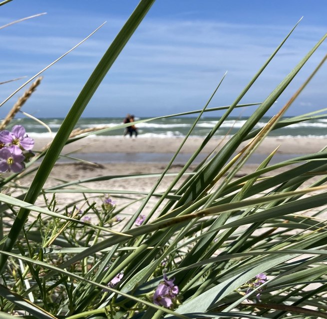 &copy; Nationalparkamt Vorpommern