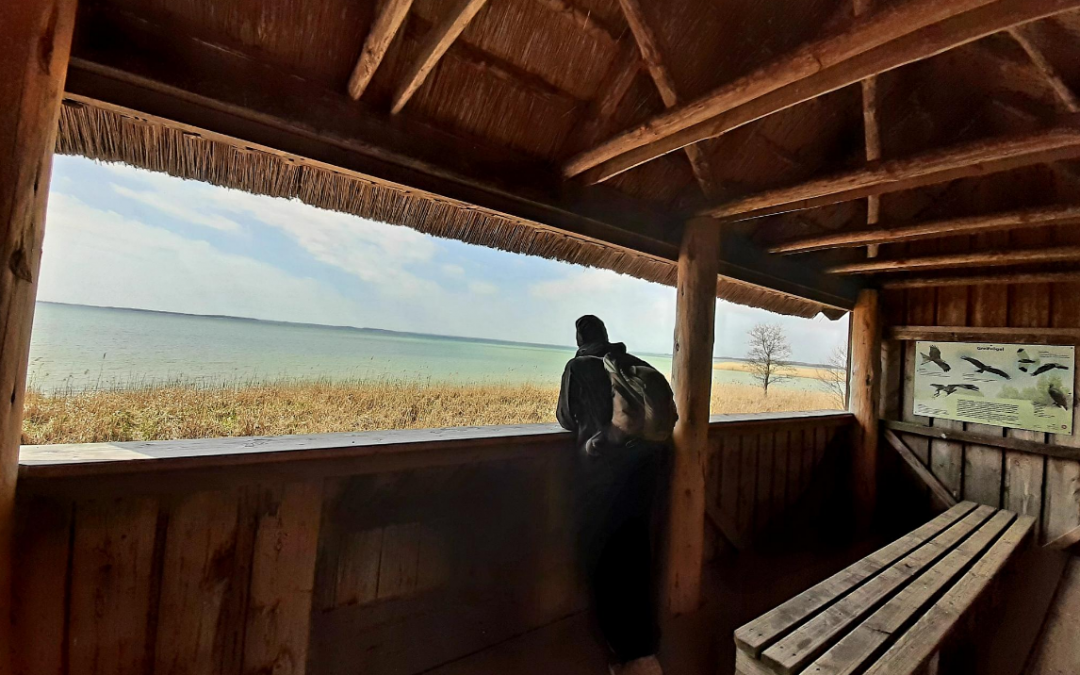 E-Bike Tour- Sch&ouml;ne Aussichten im M&uuml;ritz Nationalpark, &copy; Stadt Neustrelitz