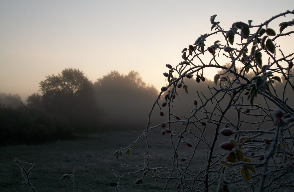 Herbststimmung im Hullerbusch, &copy; Heidegunde Voigtl&auml;nder