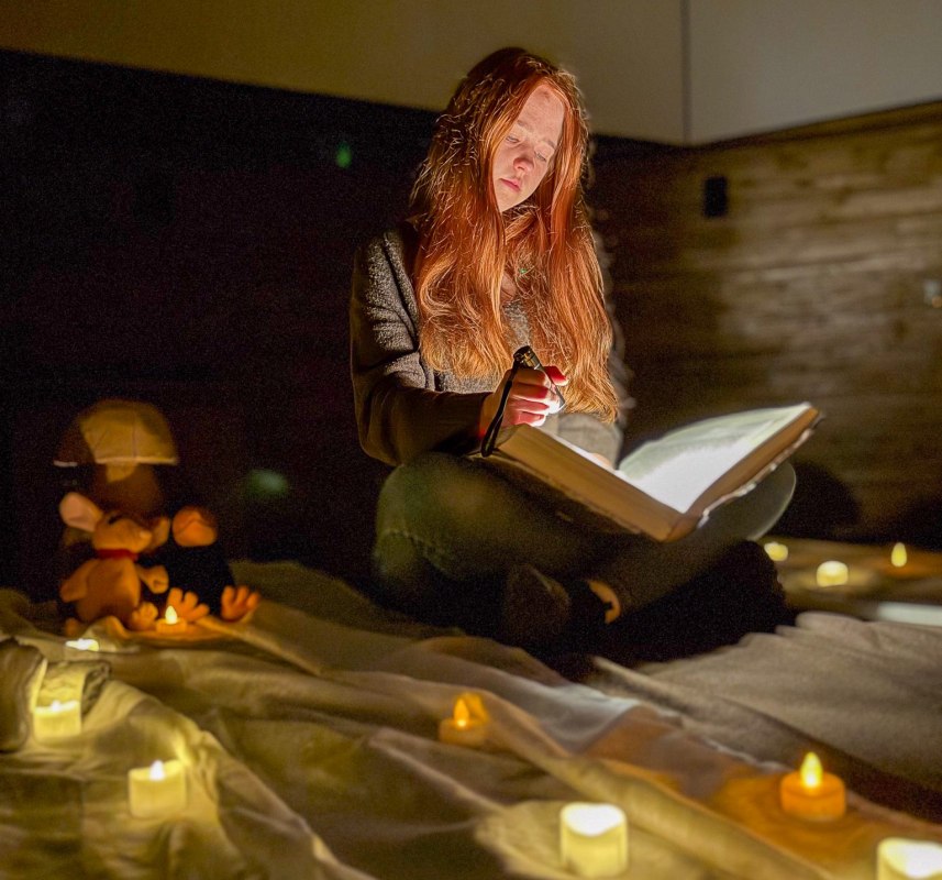 &copy; Nationalaprk-Zentrum K&Ouml;NIGSSTUHL