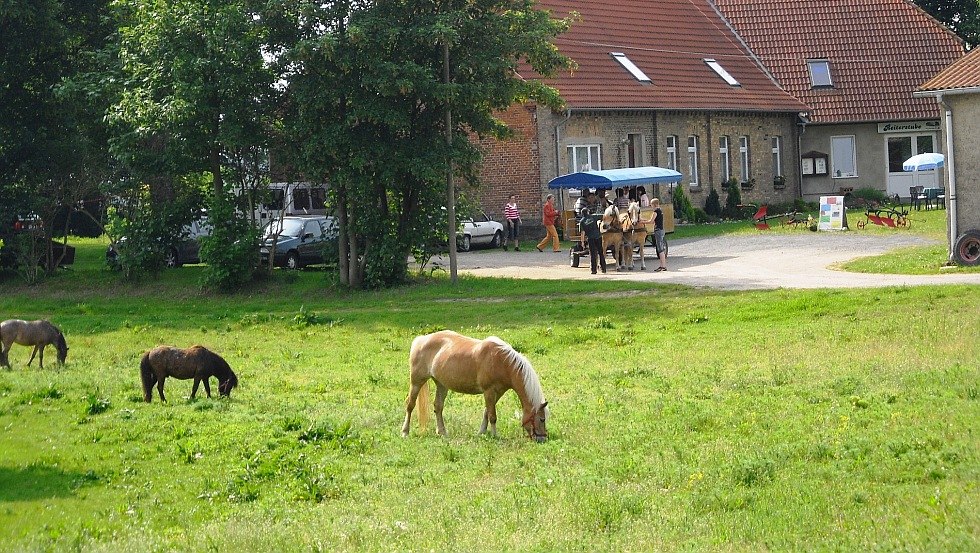 © Ferienhof Botschatzke © Ferienhof Botschatzke