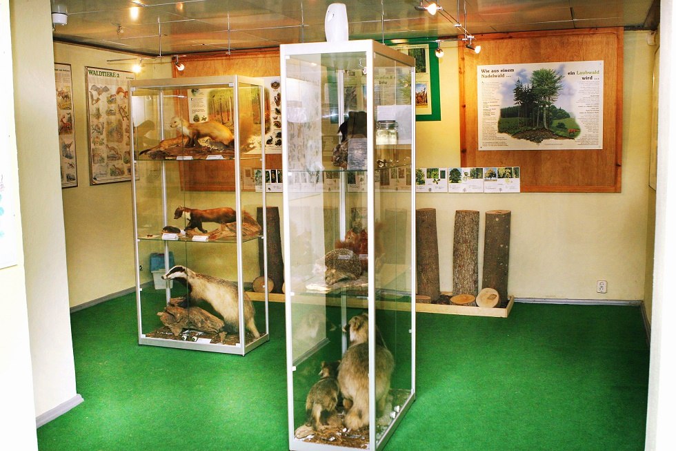 Blick in die Ausstellung, © Sabrina Wittkopf-Schade