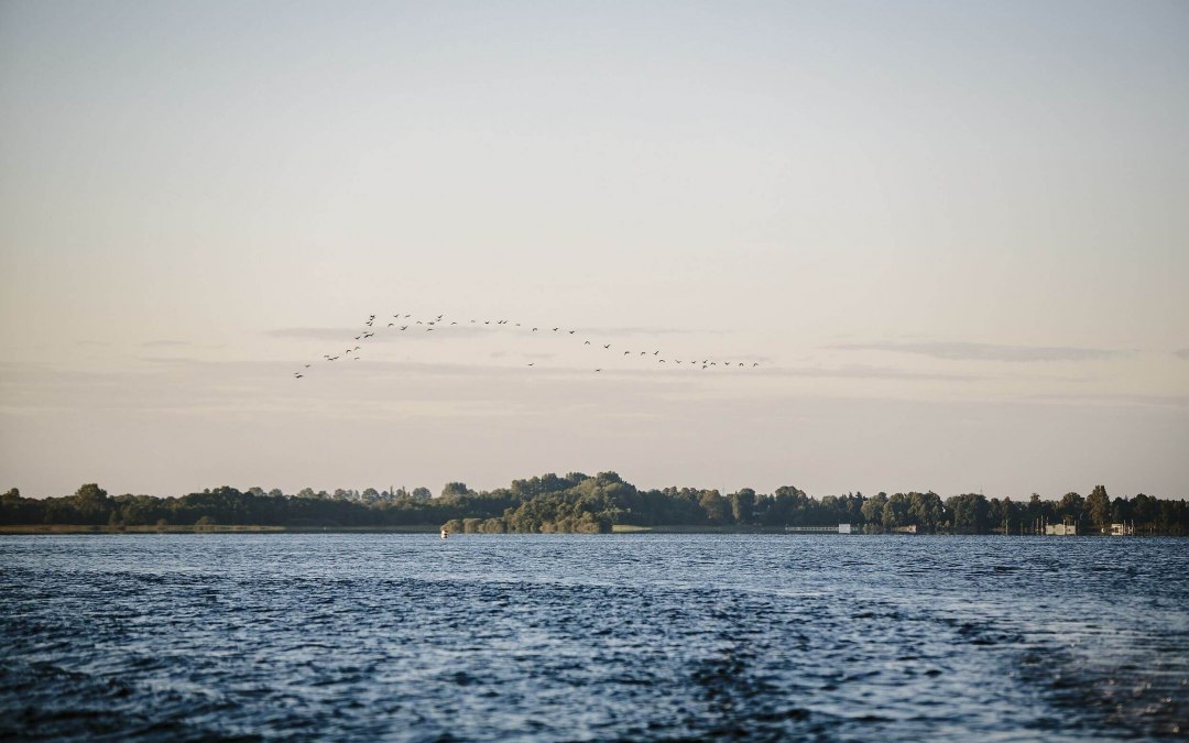 Natur erleben am Schaalsee // &copy; MV-T/Roth