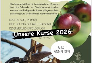 Flyer Schnittkurs // © Solawi Stralsund Flyer Schnittkurs // © Solawi Stralsund