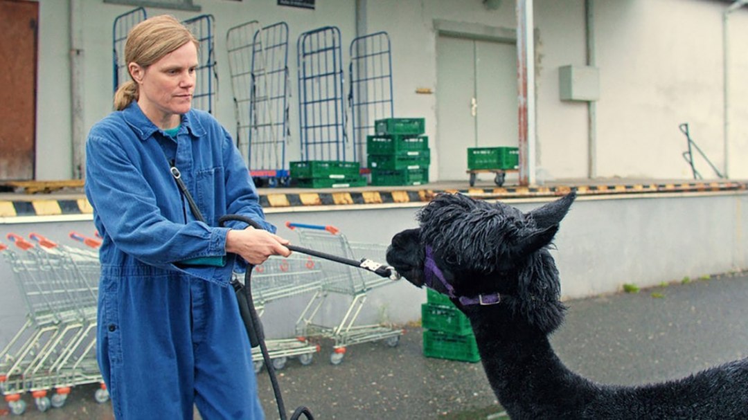 Wilma will mehr, © Neue Visionen Filmverleih GmbH Wilma will mehr, © Neue Visionen Filmverleih GmbH