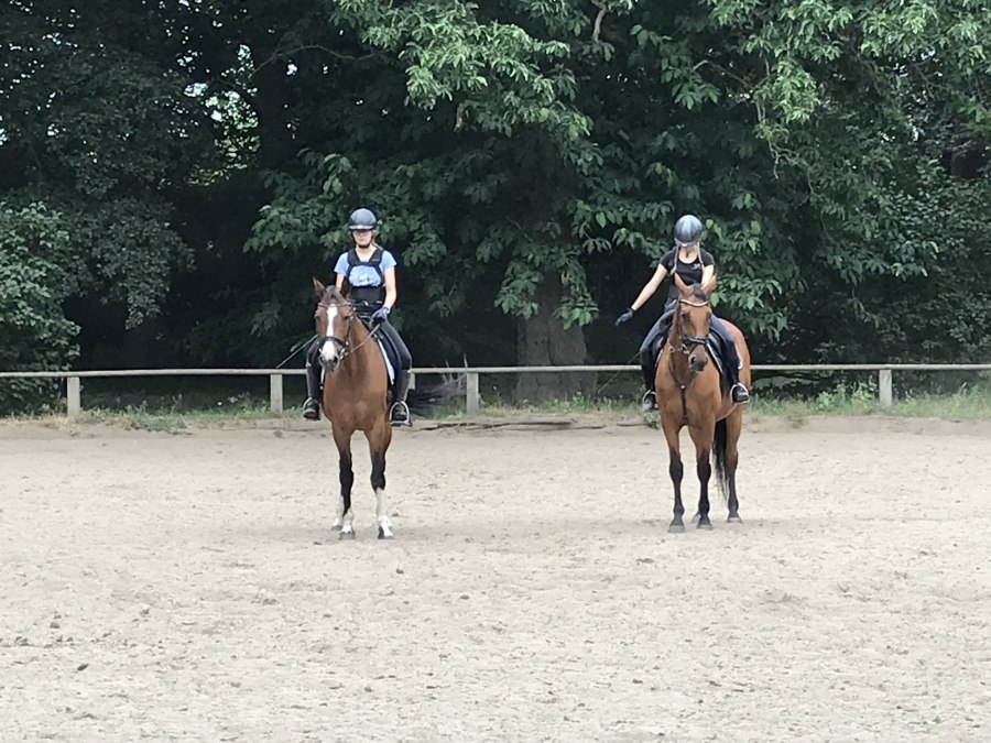 Dressurtraining auf dem Platz in Daugzin, © Karoline Görs Dressurtraining auf dem Platz in Daugzin, © Karoline Görs
