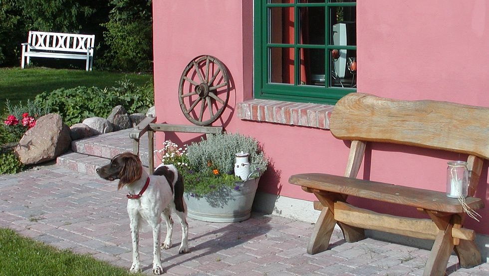 Unsere M&uuml;nsterl&auml;nderh&uuml;ndin Cora vor einem der Ferienwohnungen // &copy; Wittenberghof