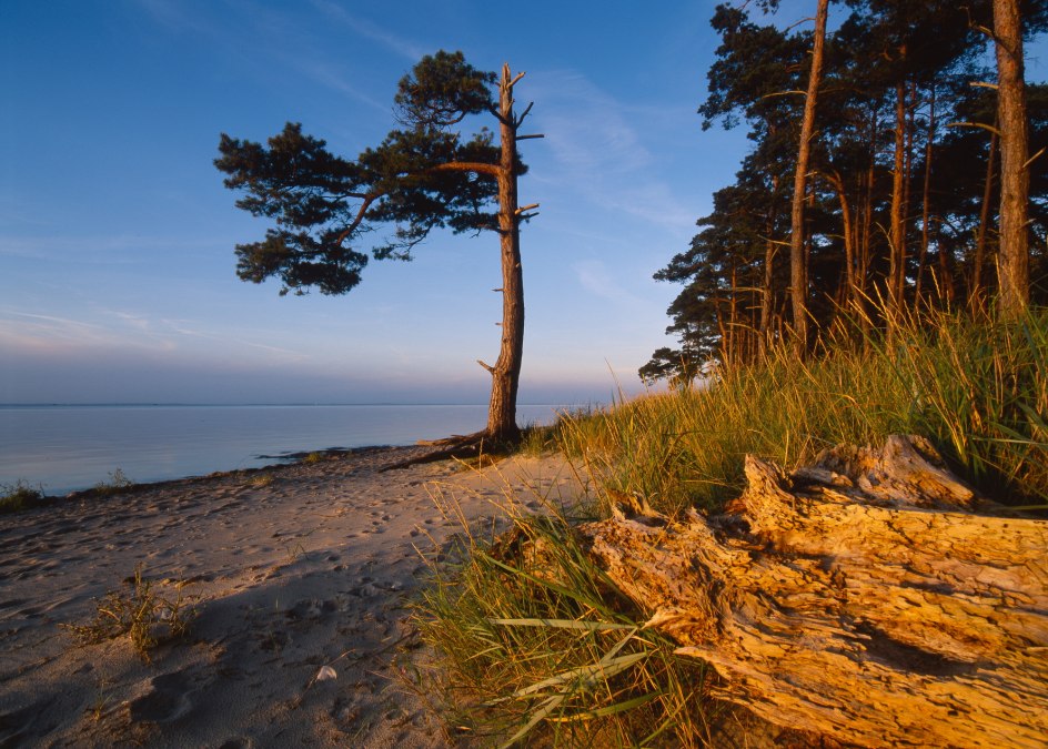 Ludwigsburg strand in de avond, © TMV.Thomas Grundner Ludwigsburg strand in de avond, © TMV.Thomas Grundner