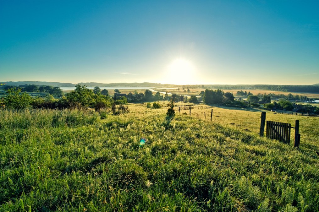 Wiesenfest Moritzdorf_Pocha, © Burwitz-Pocha Wiesenfest Moritzdorf_Pocha, © Burwitz-Pocha