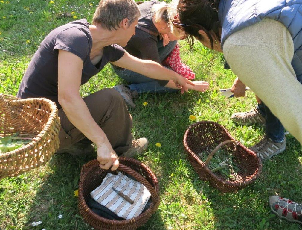 &copy; Gemeinde Ostseebad Glowe
