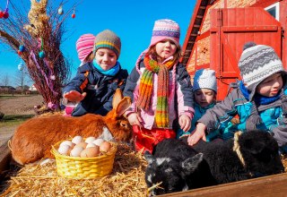 © Freilichtmuseum Klockenhagen © Freilichtmuseum Klockenhagen