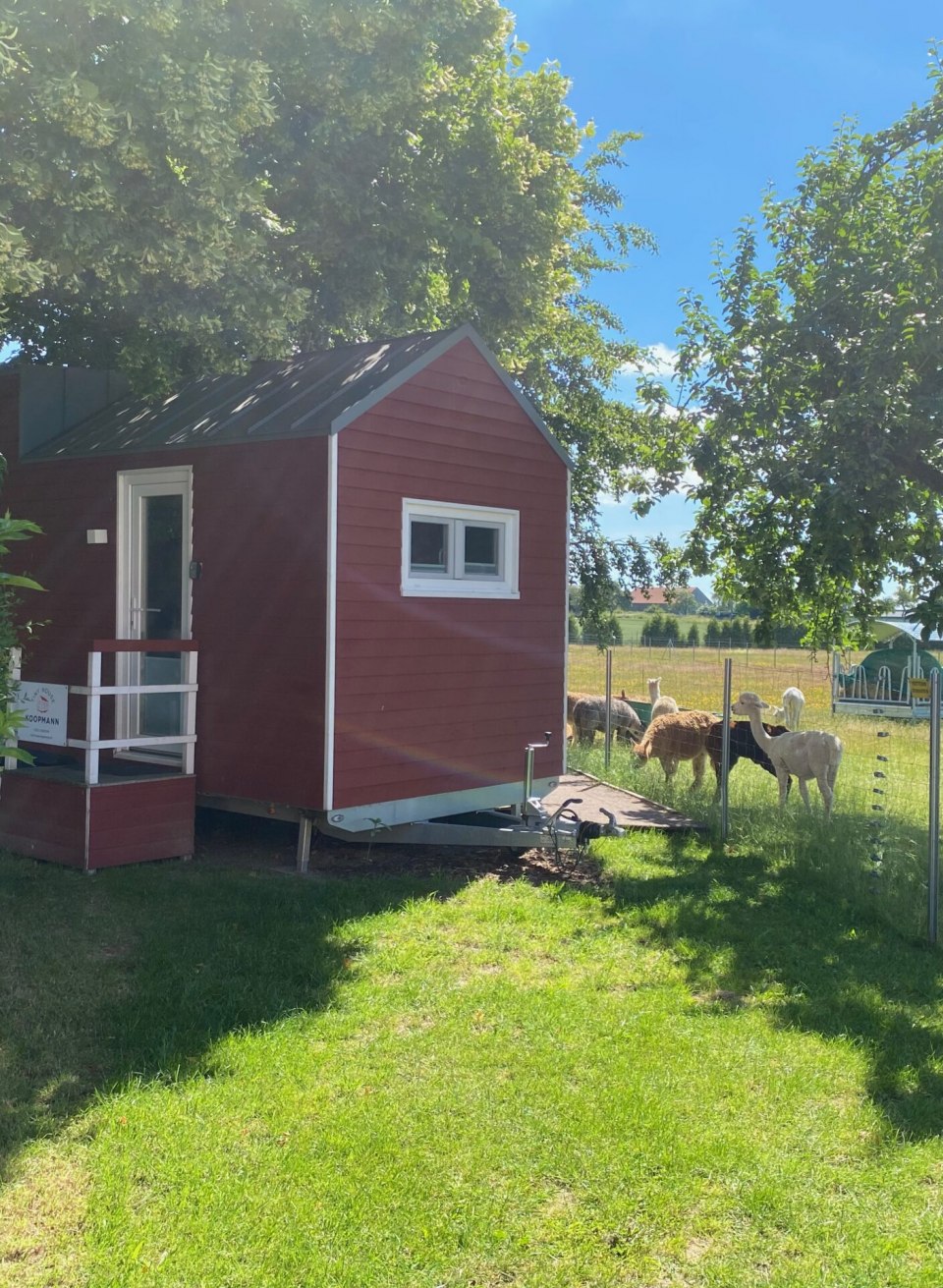 Das Tiny House steht in der Landschaft direkt neben dem Alpaka Gehege // © Alpaka-Idylle Das Tiny House steht in der Landschaft direkt neben dem Alpaka Gehege